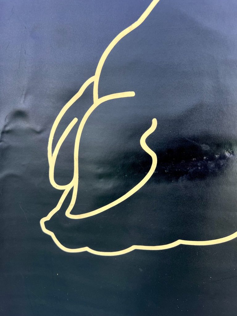 Vintage Pig - Educational Wall Chart – PGH Lehrmittel Leipzig (DDR), H 130 x W 150cm